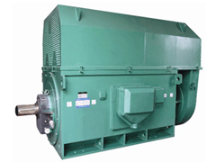 北塔Y系列6KV高压电机